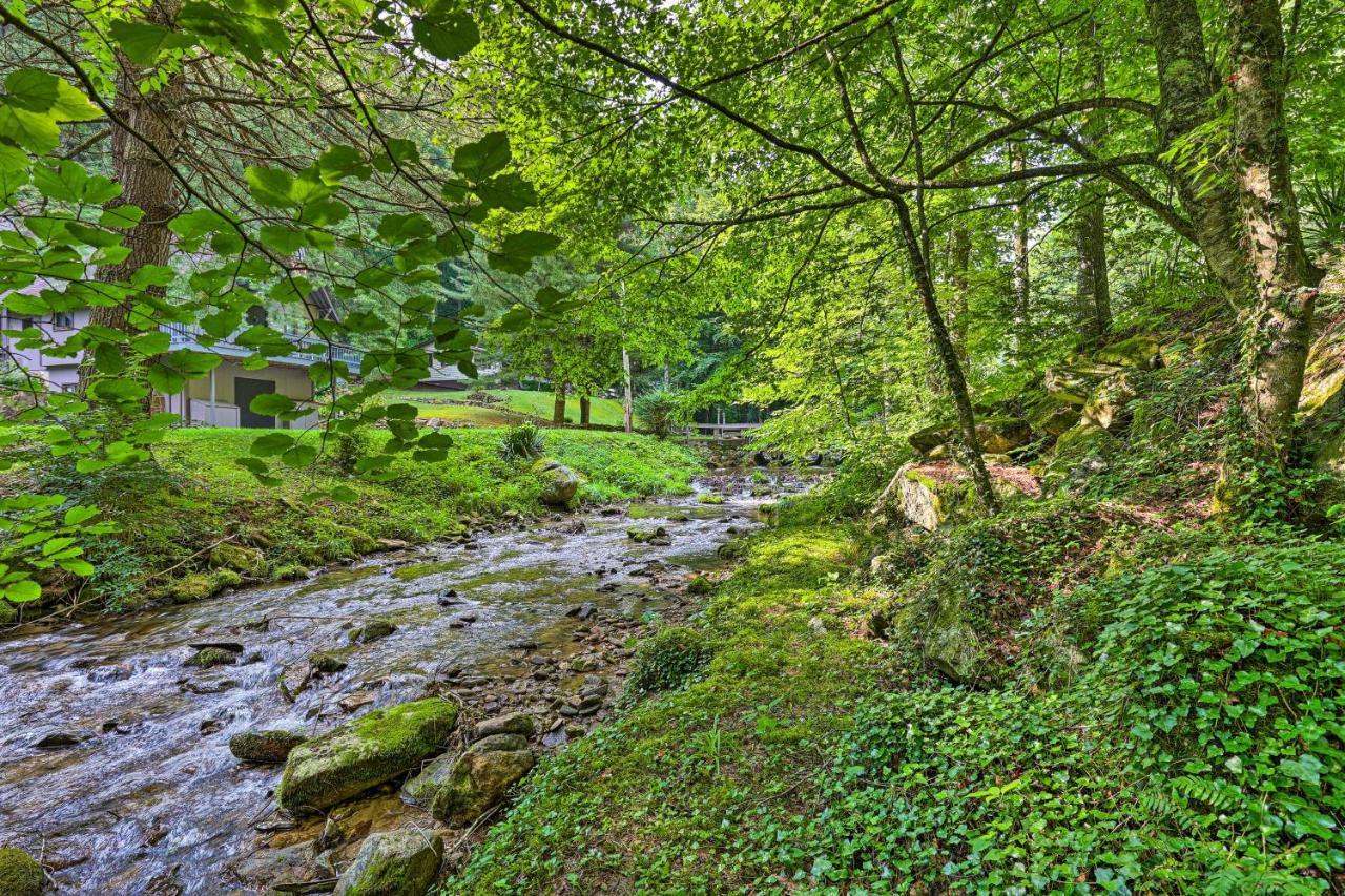 Chalet Retreat Cozy Cabin With On-Site Creek! Villa Roan Mountain Eksteriør billede